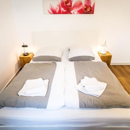 Wunderschoene Wohnung In Sanierter Villa! Incl Wifi Dresden Luaran gambar