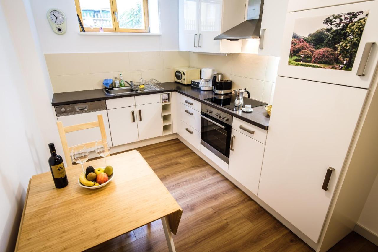 Wunderschoene Wohnung In Sanierter Villa! Incl Wifi Dresden Luaran gambar
